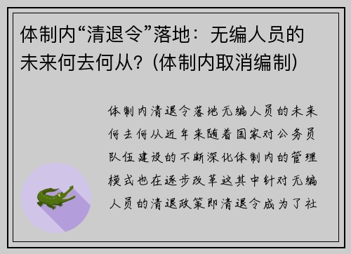 体制内“清退令”落地：无编人员的未来何去何从？(体制内取消编制)